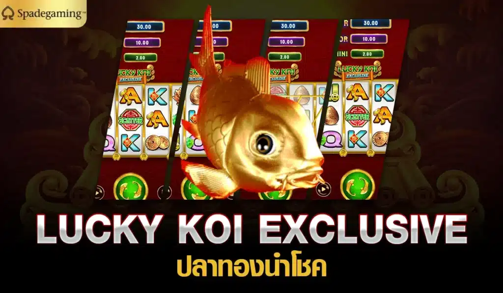 LUCKY KOI EXCLUSIVE ปลาทองนำโชค